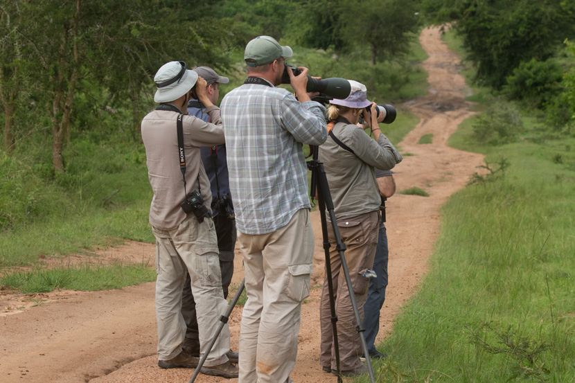Experience Birding Safaris in Uganda